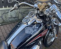 Harley Davidson Dyna Low Rider erste Hand